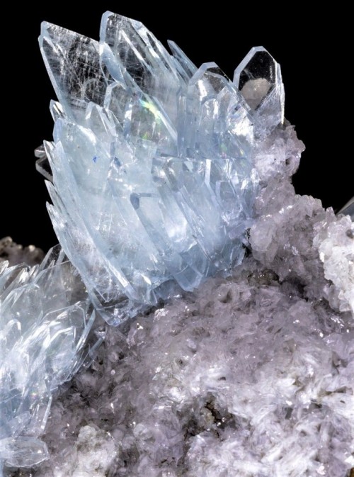 bijoux-et-mineraux:Blue Barite & White Barite on Limonite -...