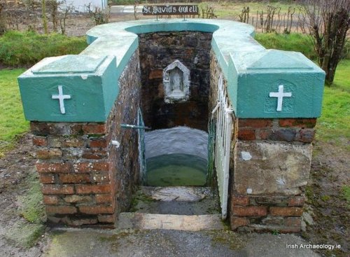 irisharchaeology:Saint David’s holy well, Oylegate, Co....