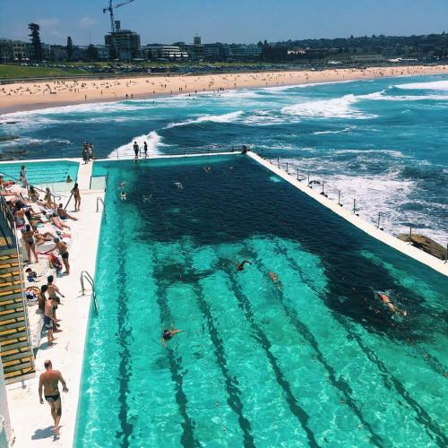 a-healthy-adventure:Icebergs, Sydney Australia (at Icebergs...