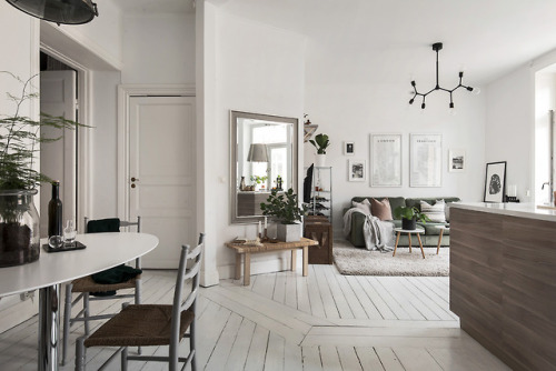 Soft Colors And Greenery | Stockholm,...