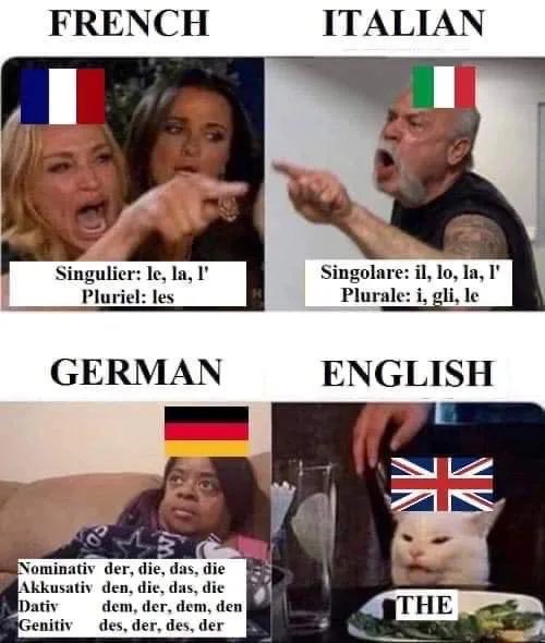31+ Meme English French