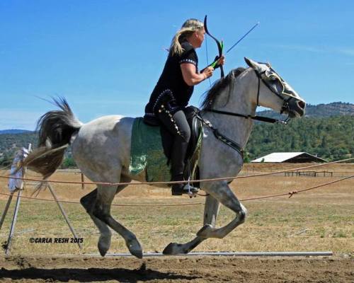 Columbia II Lipizzaner, Mare