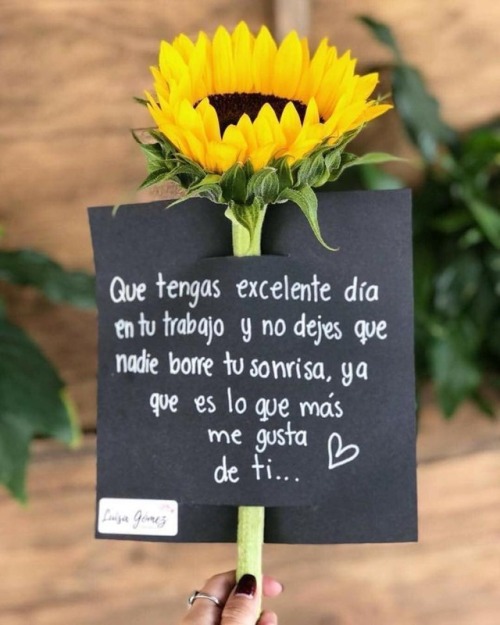 Bonita on tumblr