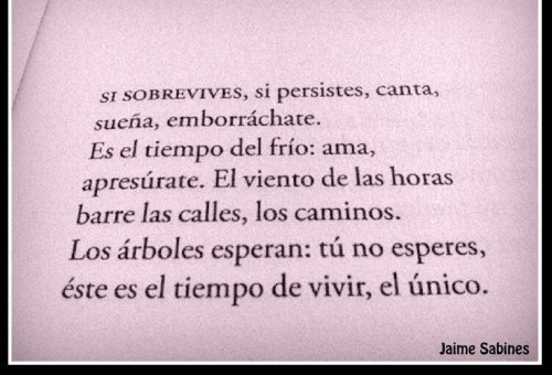 garcipnf:Jaime Sabines