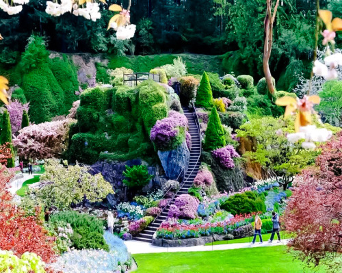 coiour-my-world:Butchart Gardens ~ a group of floral display...