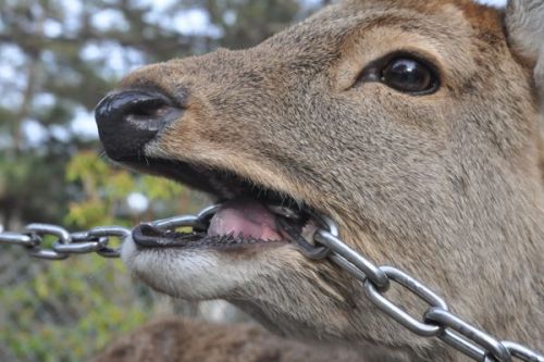 koobaxion:Living deliciously