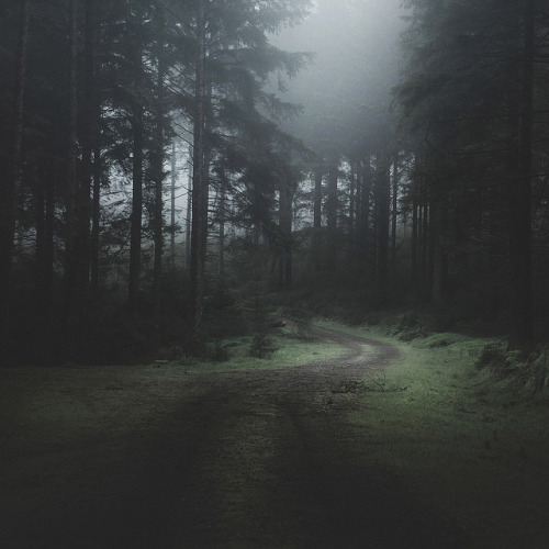 muddysoul:Dark Path by www.neilburnell.com on Flickr.