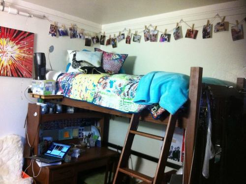 Notre Dame Admissions Nd Cribs Lyons Luxury