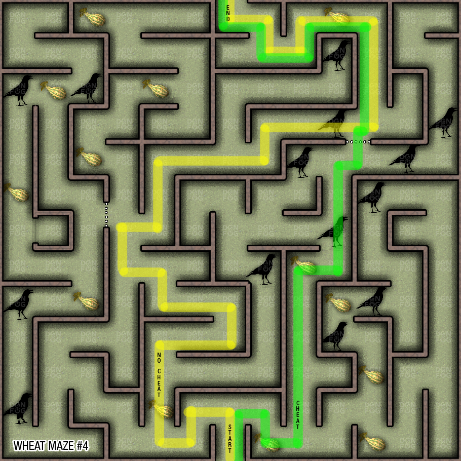 Карта the maze
