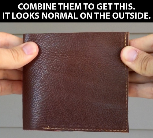 oddbagel:konigstigerr:obviousplant:I made a decoy wallet...