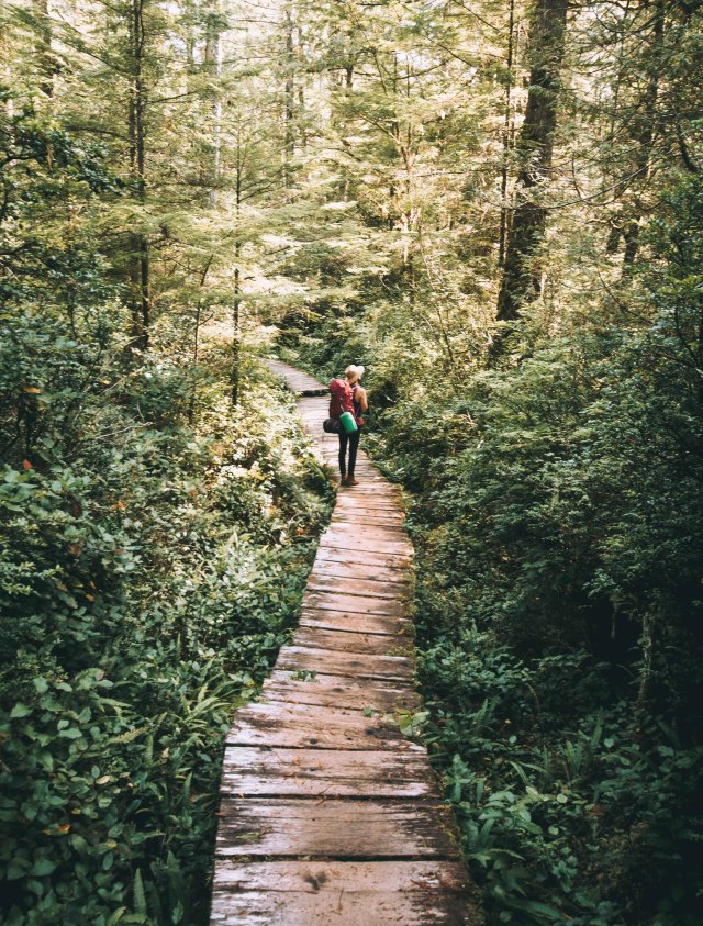 Santiago de Hoyos — Trudging through the rainforest, searching for the...