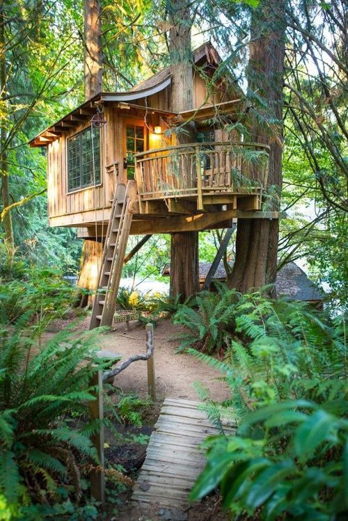 Tree Houses On Tumblr