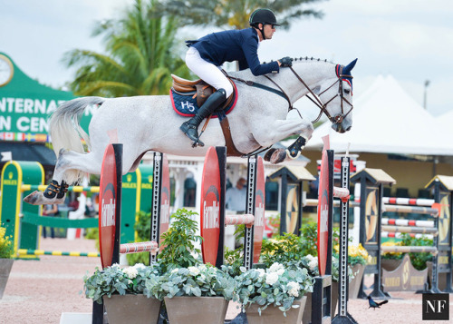 showjumpingpassion:Eduardo Menezes & Quintol$130,000...