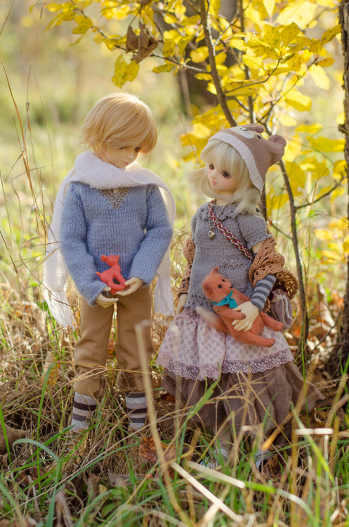 volks msd