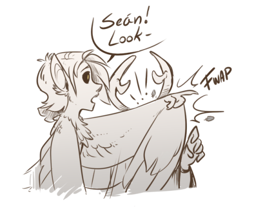 dearhopedeer