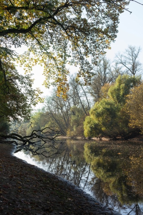 firefliestaketotheskies:Waldpark, Mannheim, Baden-Württemberg,...