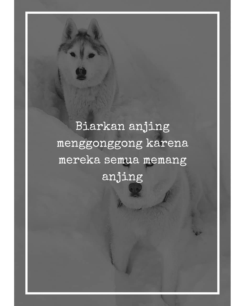 12++ Anjing menggonggong quotes download