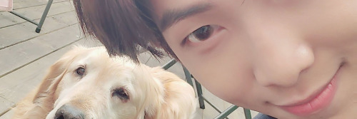 iconbangtan