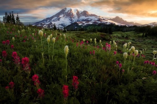 sweetd3lights: © All rights reserved by  Doug Shearer