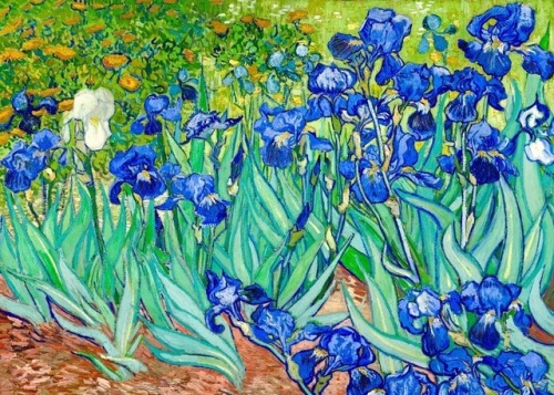 historyofartdaily:Monet and Van Gogh x Irises