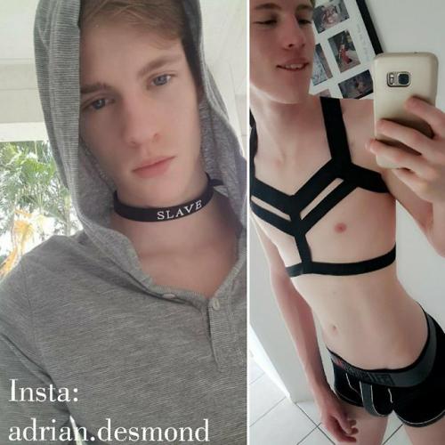 thathornyaustralian:Want to put a face to the body? Check out...