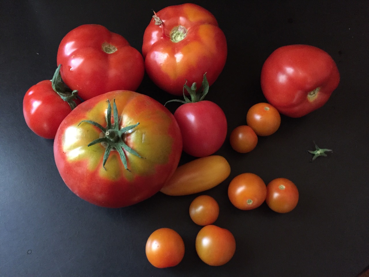 billpkrt - Still life with tomatoes (1 down, 14 to go)