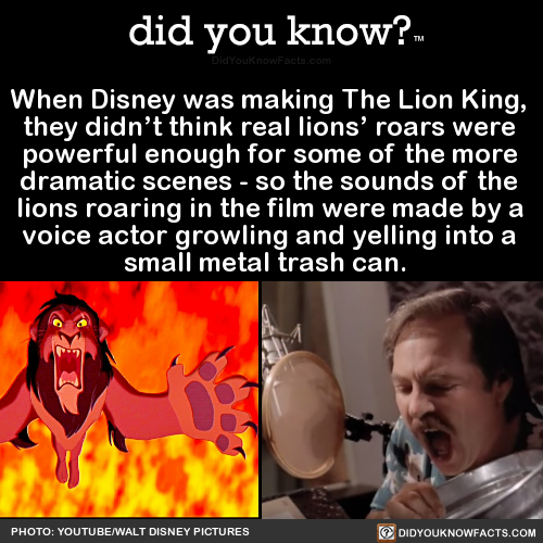 when-disney-was-making-the-lion-king-they-didnt