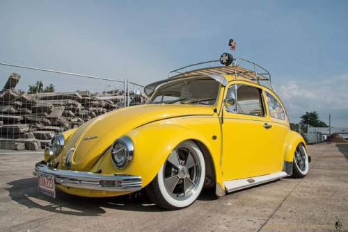 dubcars:Canary beetle