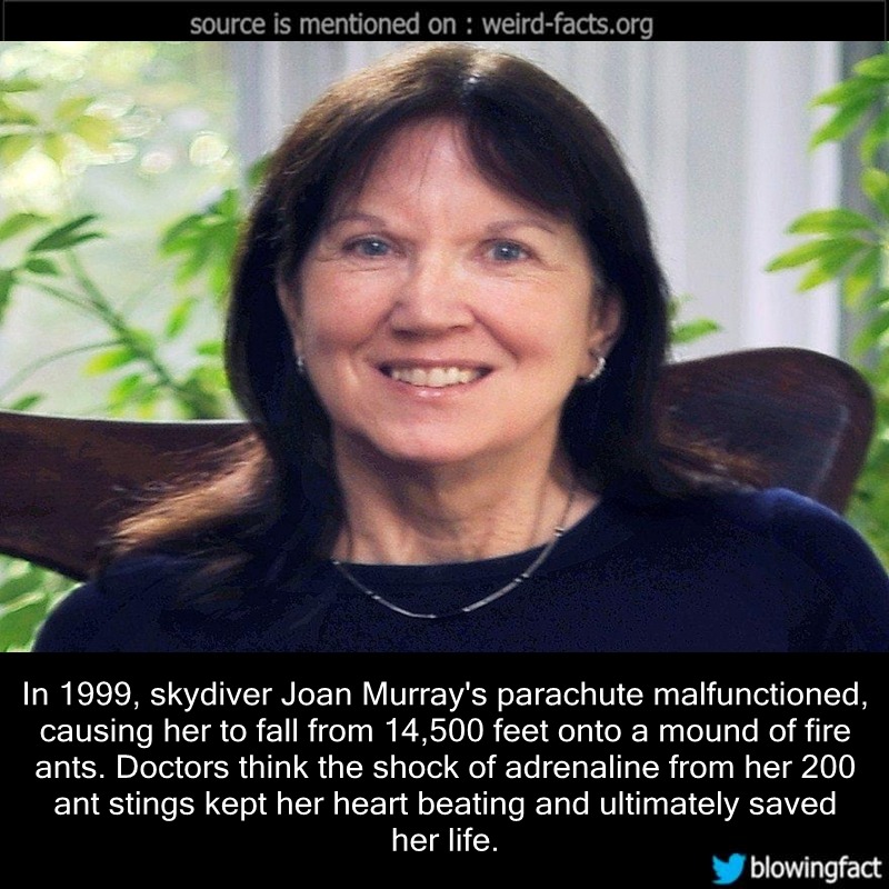 Weird Facts, In 1999, skydiver Joan Murray’s parachute...