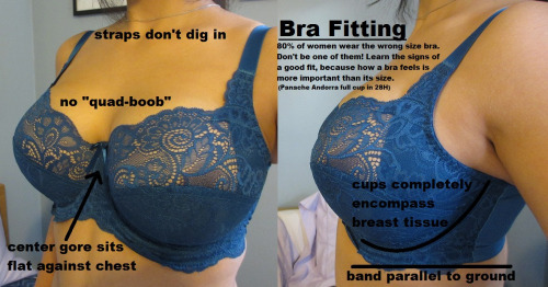thatbradoesnotfither:    Here is an excellent graphic showing how a bra should fit! If your shoulders hurt at the end of the day, or you find yourself constantly re-adjusting your bra, it might be a good idea to re-evalute your bra size and find a bra that’s good enough to support your awesome boobs. (It’s the bra’s fault—not yours!)    If your bra does not meet all this criteria you need to measure yourself PROPERLY ok, Victoria&#8217;s Secret does not count at all  chances are you are not a 34-38&#160;B-C ladies