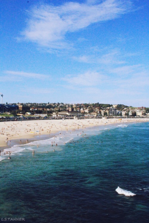 bondi beach on Tumblr