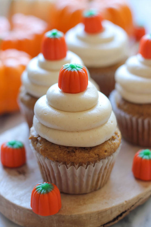 sweetoothgirl:Pumpkin Cupcakes w/ Cinnamon Cream Cheese...