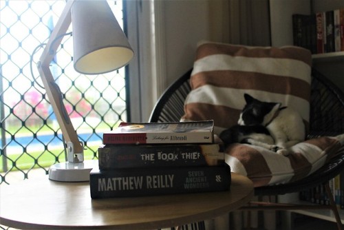 My favorite reading spot, featuring my favorite cat!