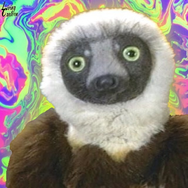 zoboomafoo lemur plush