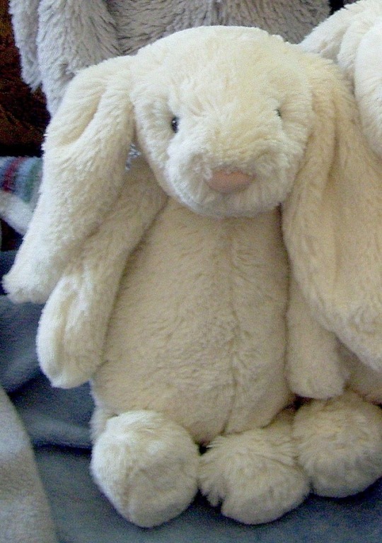 bunny 3