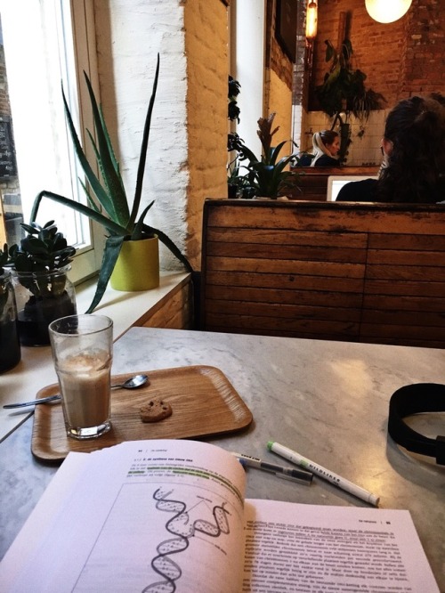 oblivlion:went to study at a coffee shop for the first time in...