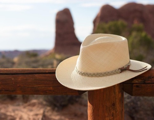 The Authentic Aficionado. A handsome hybrid between a cowboy hat...