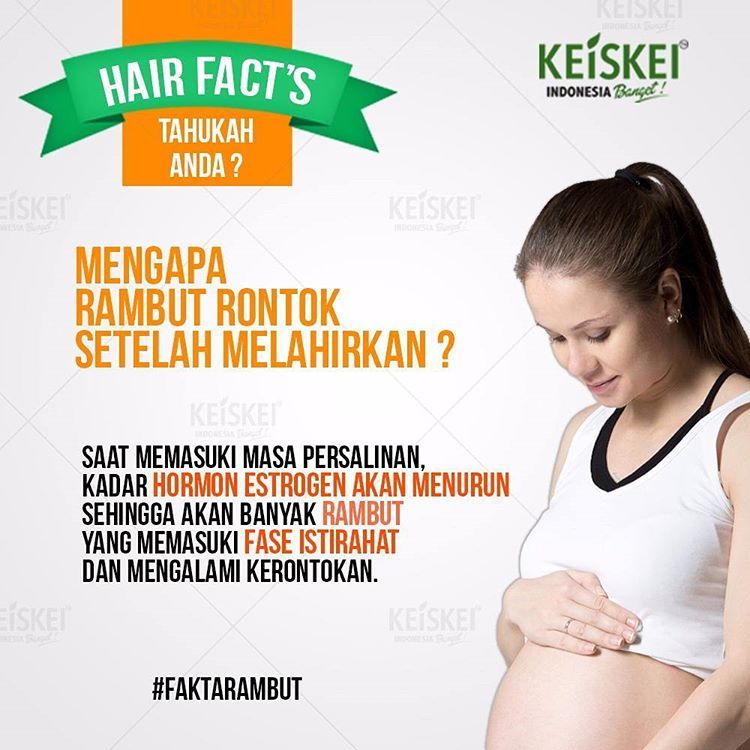 Stimulate Your Hair  MENGAPA RAMBUT  RONTOK  PASCA 