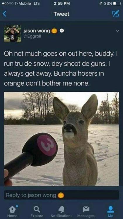 whitepeopletwitter:Deer must be Canadian