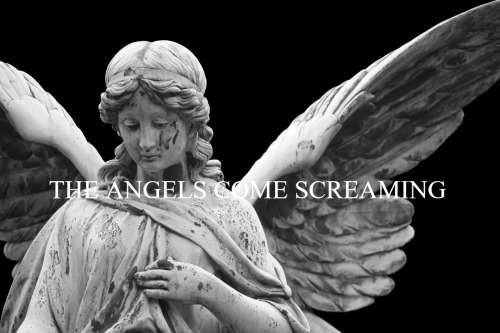 slashatthedisco:my chemical romance + angels