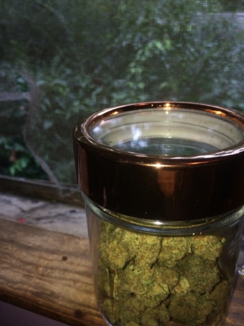 sereinveil:found a pretty jar to store our stash 