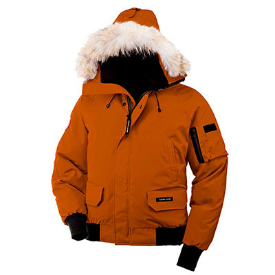 the north face canada goose