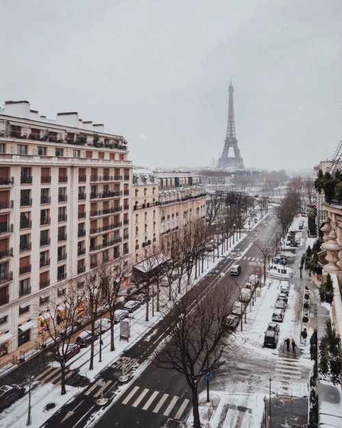 everything-thing:Hotel Plaza Athenee, Paris |Aimee Song