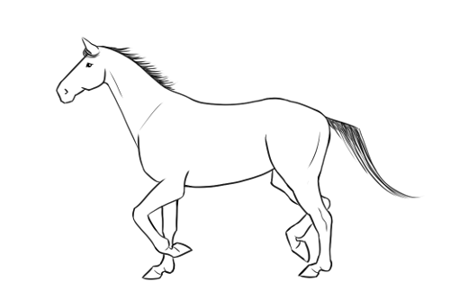 Horse animation • KDE Community Forums
