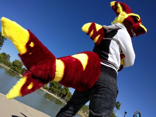 manokit fursuit | Tumblr