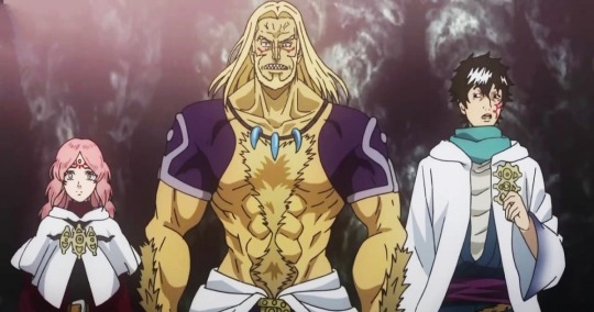 Black clover arcs