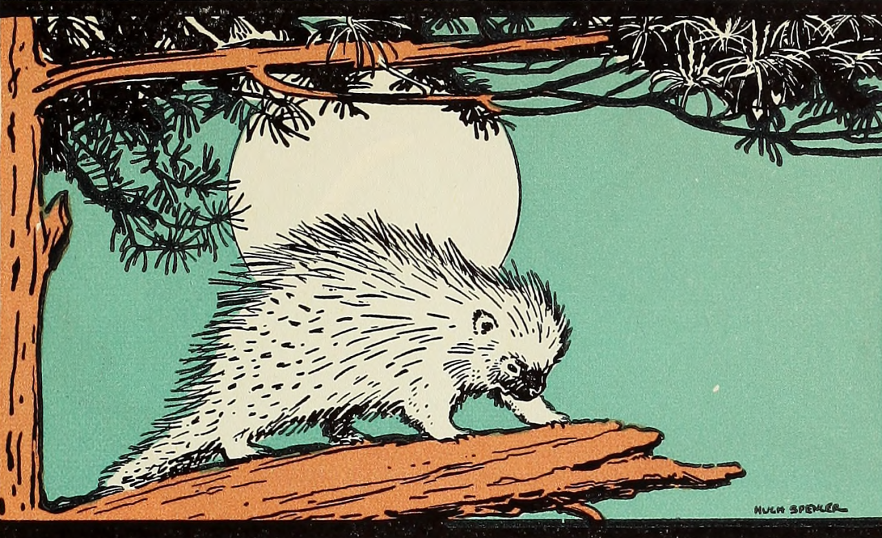 nemfrog: “ Porcupine with full moon and pine tree. . We look about us. 1932. Internet Archive ”