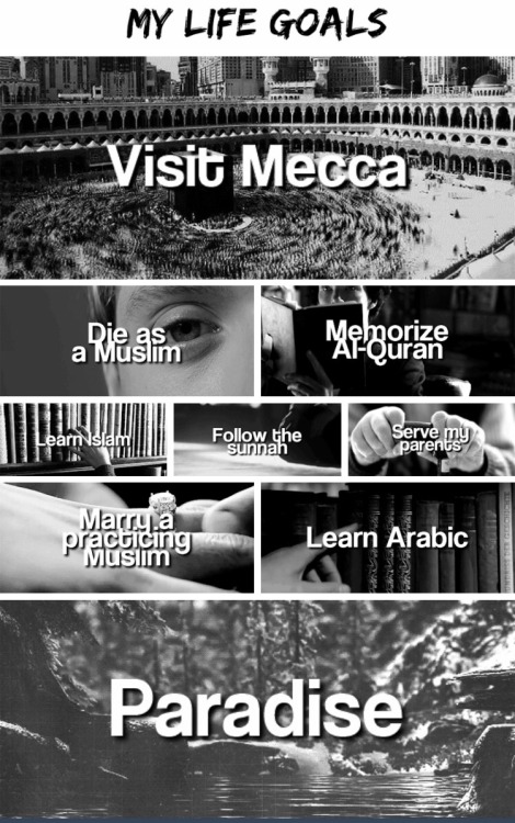 el-islamoe-dinie:Muslims life goals