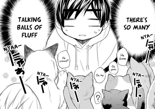 anime-to-the-t