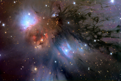 the-wolf-and-moon:NGC 2170, Celestial Still Life